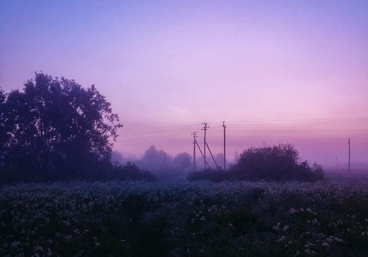 kaiyun网站-菜鸟教练迎来新挑战 规避伤病才是纳什的头号难题